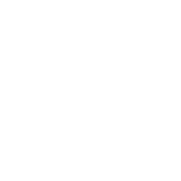 Map Pin Icon